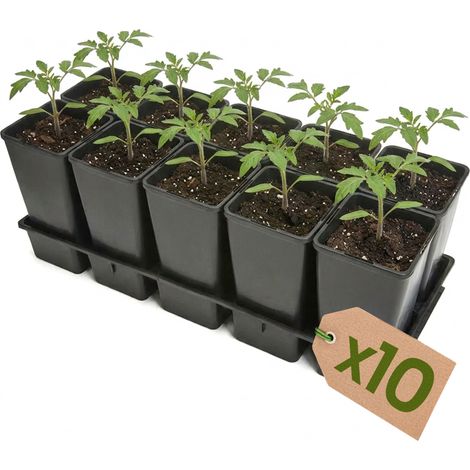 Garronda Lot de 10 Kit de Semis Plateau 10 Trous avec Godets 2 L - Plateau de Semis Plastique PP Réutilisable Serre Jardin Intérieur Extérieur Horticulture Repiquage Culture Plantation GD-0208 Noir