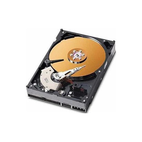 CoreParts 40GB 3.5 IDE 7200rpm, muxms-00077