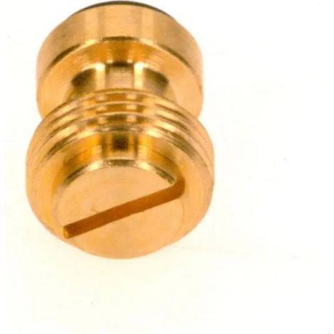 BOSCH Tapón roscado, 87034060440
