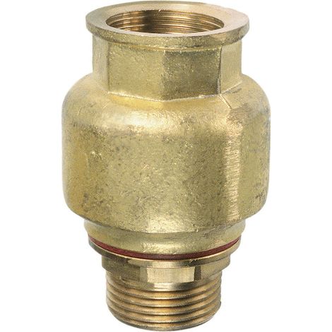 Meister Cornat Rückschlagventil Durchgang 25,4 mm (1) Pumpen-Zubehör