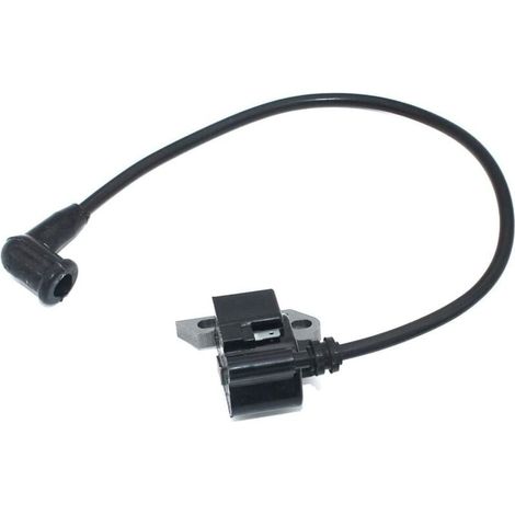 Module d'allumage pour Stihl Souffleur à dos BR320 BR340 BR320L BR340L BR380 BR420 BR420C Atomiseur SR320 SR340 SR400 SR420 souffleuse 4203 400 1301 4203 400 1302 (1/4)