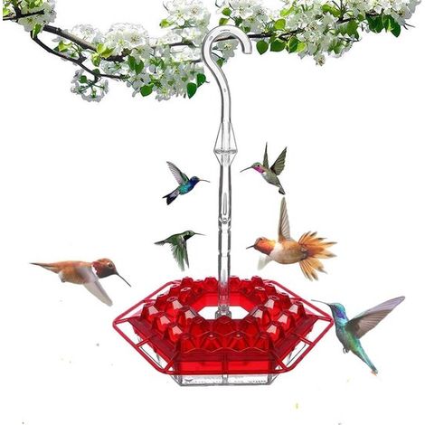 Mangeoire à Colibris D'extérieur - Rouge - Sans Abeilles et Anti-Fuite - 30 Ports D'alimentation de Style Soucoupe - avec Fossé Anti-Fourmis et (1/5)