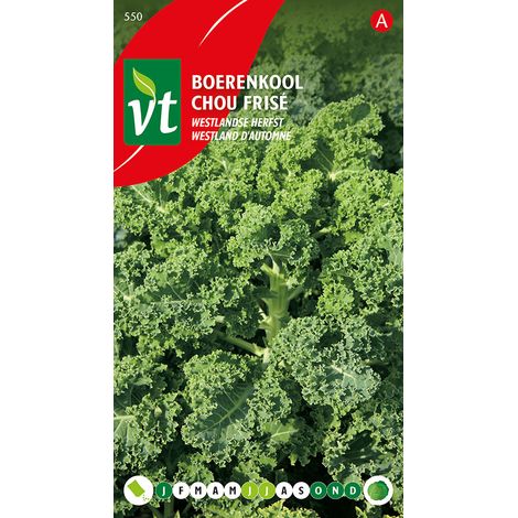 Chou Frise Westland D'Automne - Ca. 2 gr (Livraison Gratuite)