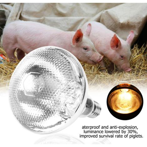 Beyamis Lampe chauffante épaisse pour porcelets, étanche et antidéflagrante, ampoule à surface à points (175 W) (1/5)