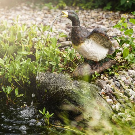 esotec Wasserspeier ENTE mit Solar-Teichpumpe Wasserspiel Teichfigur 101659