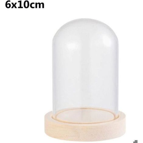 Une cloche en verre sphérique de 6 x 10 cm avec un socle est idéale pour la décoration murale et la création d'écosphères. (1/4)