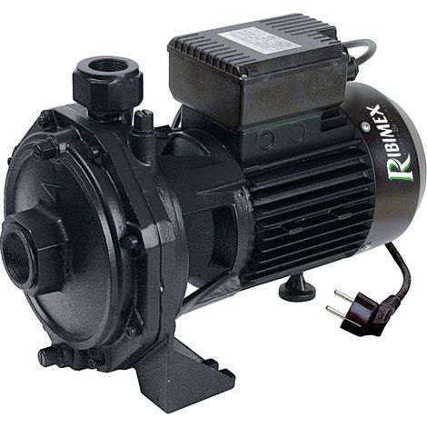 Bomba de agua superficial centrífuga de doble turbina 2000w - prrbk200 - ribiland -