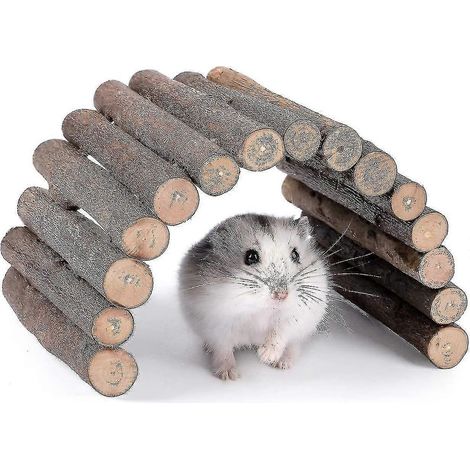 Pont en bois en forme d'échelle pour hamsters et souris, idéal pour les petits animaux comme les cobayes, les rats, les hérissons, les gerbilles, les souris et les phalangers volants. Il peut égalemen (1/2)