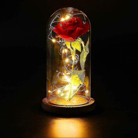 Rose dans un verre, Rose éternelle dans un verre (1/2)