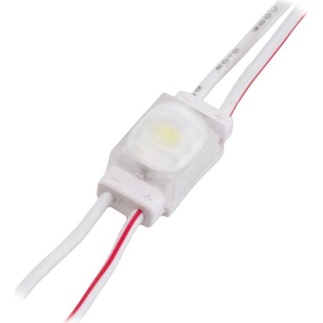 MINIOVAL-1W: MINIOVAL-1W: MINIOVAL-1W 0,36W 12V 5k5K-8k