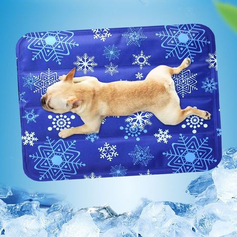 Tapis rafraîchissant pour chiens et chats, 40 x 50 cm, imperméable et facile à nettoyer, convient aux petits chiens.