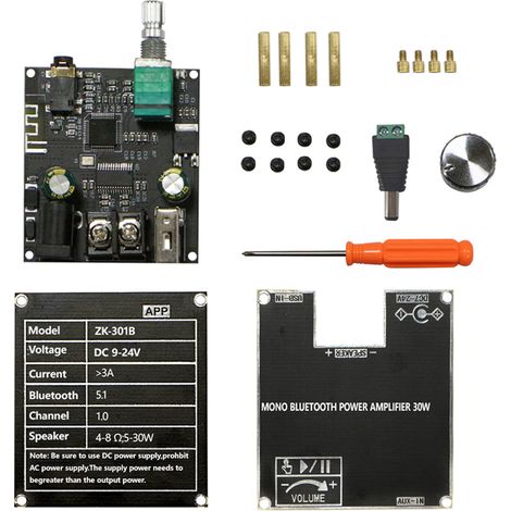 Carte d'amplificateur Audio Portable SingleTrack 30W, Compact BT5.3, monocanal, avec véritable boîte d'association sans fil, ZK-301B (1/5)