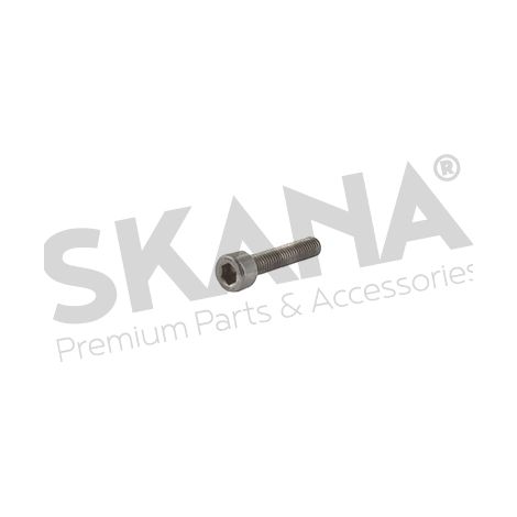 Tornillo STIGA 2132550