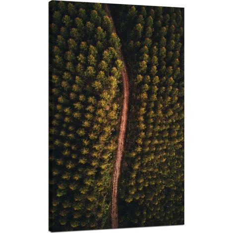 Lienzo impreso "Camino natural visto desde una perspectiva aérea" 70x120 (1/4)