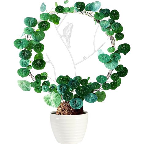 Support en fer pour plantes grimpantes, treillis pour légumes, structure de soutien pour plantes grimpantes, outils de jardinage décoratifs pour fleurs et plantes grimpantes (1/5)