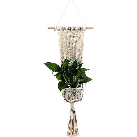 1 pot de coton pour plantes succulentes (1/3)