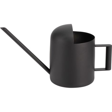 Arrosoir en acier inoxydable, noir mat, long bec, pot d'arrosage pour plantes et fleurs, jardin (1/5)