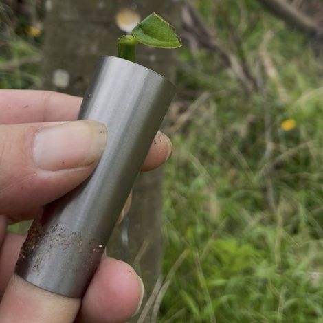 2 teiliges Veredelungsmesser aus Edelstahl für Obstbäume, Knospenmesser für den Gartenbau (1/5)