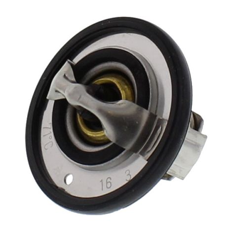 Termostato Tourmax (TMT-201) [7810028]
