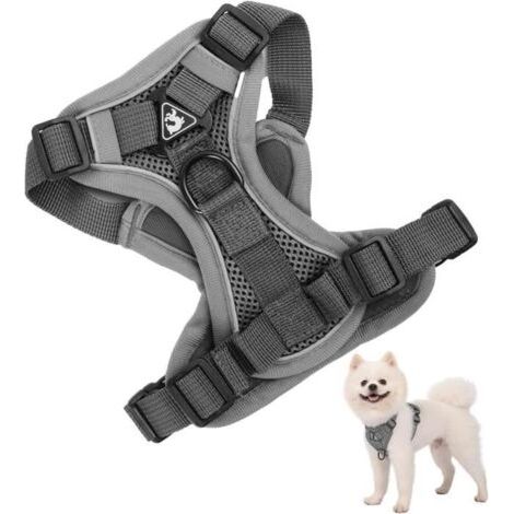 Harnais Chien Petite Moyen Grand Taille, Harnais Animalin Anti Traction, Harnais Chat Réfléchissant avec 1,5m Laisse, Pet Harness(S) (1/4)