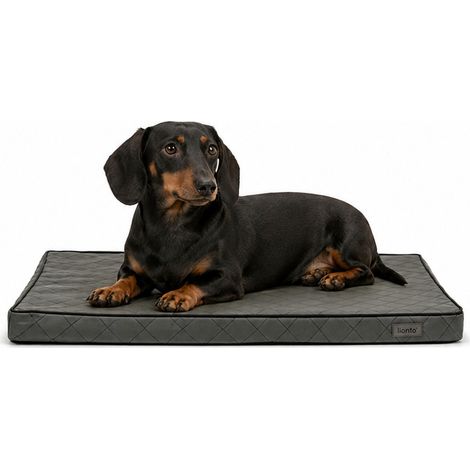 lionto Hundematte orthopädisch, druckentlastende Memory-Foam Liegefläche, rutschfeste Unterseite & abnehmbarer Bezug, 60x40 cm, grau (1/5)
