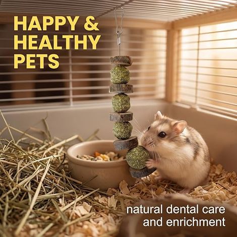 Jouet Lapin et Accessoire Lapin, Jouet pour Lapin Nain Intérieur, Cochon d'Inde, Chinchilla, Hamster, Jouets à Mâcher en Bois Naturel, Bambou Doux et Boule d'Herbe pour Soins Dentaires (1/4)
