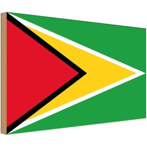 Panneau en bois 30x40 cm Drapeau et armoiries du Guyana (1/4)