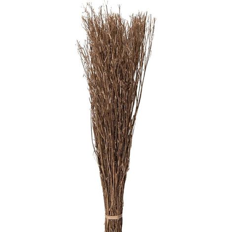 Fleurs Séchées en Bouquet Décoratif Beige 80 cm pour Vase et Décoration Intérieure - PANGIVO