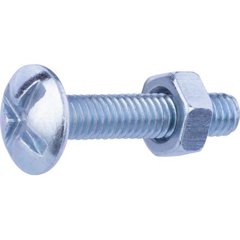 Tornillo de carnicero M 4x20 /10