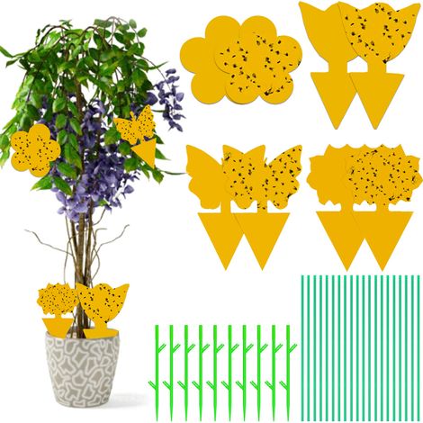 Lot de 40 pièges à mouches, panneaux jaunes, adhésif double face, résistant aux UV, pour jardin et intérieur (1/5)