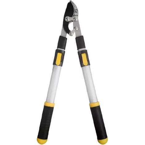 Longue Branche Élagage Cisaillement Jardinage Arbre Fruitier en Acier Ciseaux de Jardin Extensible (1/5)