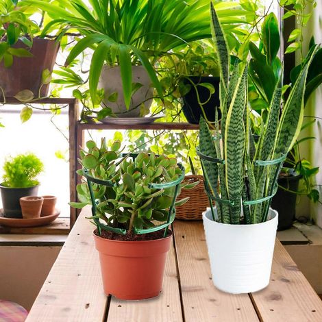 Lot de 3 supports à plantes en plastique double couche, avec tige de fixation pour fleurs. (1/4)
