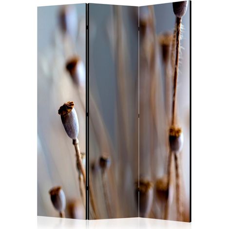 Paravento - Poppy heads [Room Dividers] - 135x172 (1/4)
