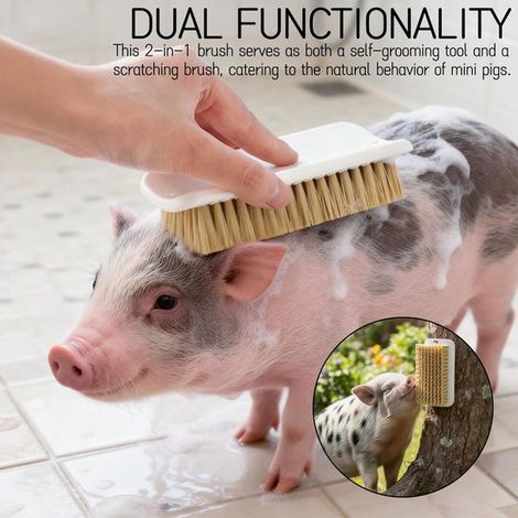 Brosse d'auto-toilettage et de grattage pour mini-cochons - 2 pièces. Stimule les comportements naturels, réduit le stress, idéale pour les cochons d'élevage et de compagnie. (1/4)