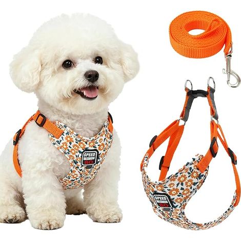 Ensemble Harnais Chien et Laisse Chien, Réglable Harnais pour Chiens, Doux Confort Dog Harness, Anti Traction Harnet pour Chiens de Petite et Moyenne Taille, Fleurs Orange, L (1/5)