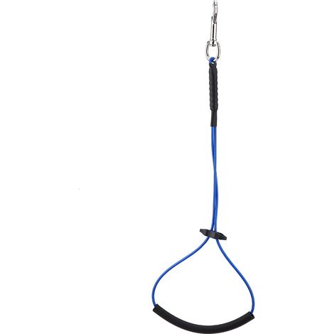 Boucle de toilettage pour chien et chat, support de table de bain pour animaux (1/5)