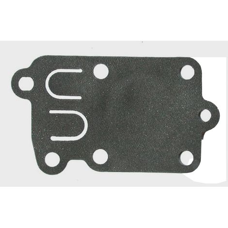 Membrane BRIGGS ET STRATTON 272538S (1/2)