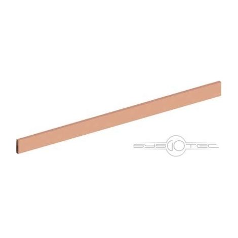 STRIEBEL & JOHN CUIVRE RAIL ZX1013 20 X 5 MM L: 246 MM BARRE OMNIBUS 4011617418825 2CPX041882R9999