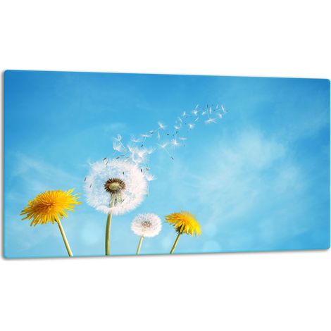 Tagliere della lastra di vetro 52x30 fiori (1/5)