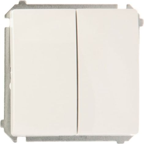 Interrupteur Double Schématique - Blanc - 10 A - Basic Bmw6/2.01/11 - Module Électrique