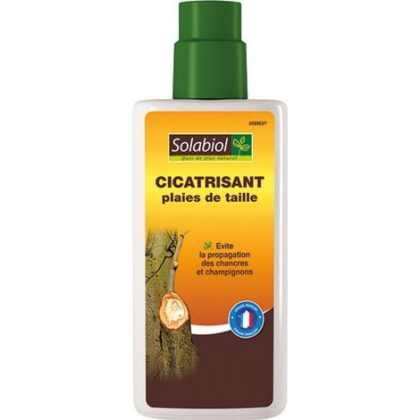 Cicatriante per Ferite di Dimensioni 300g - Solabiol