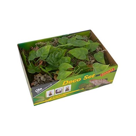 Lucky Reptile Deco Set Jungle – Set Decorazioni per Terrari Tropicali (1/4)