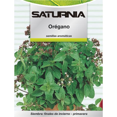 Graines Saturnia oregano plante vivace exposition mi-ombre (1/2)