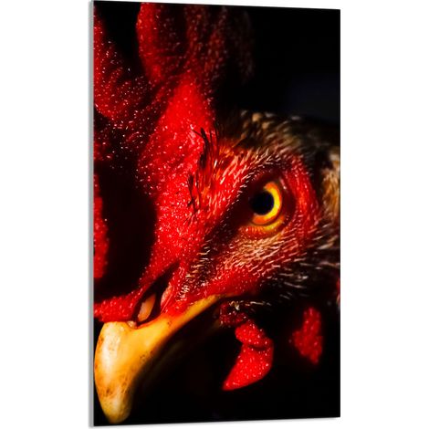 Planche à découper en verre 30x52 Coq (1/5)