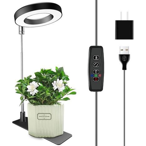 Lampe de croissance pour plantes noire avec perche télescopique 16-65CM 1 avec base adaptateur secteur lumière blanche chaude réglage de la minuterie (1/5)
