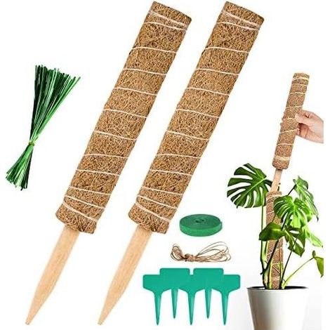 Pflanzenstütze, 2 Stück Monstera, 40 cm lange Pflanzenstützen aus Kokosfaser, faltbare Kletterstütze für Monstera-Pflanzen, Erweiterung für Haus und Garten - Kokosfaser (1/5)