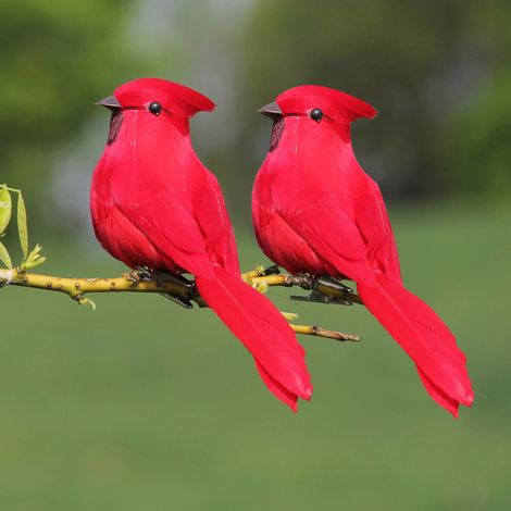 10 künstliche rote Schaumstoffvögel zur Dekoration von Garten und Rasen (1/5)
