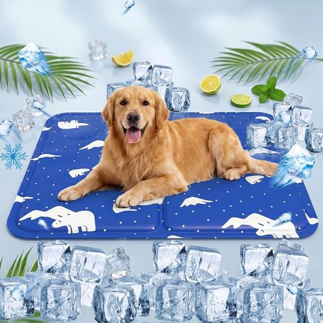 CCYKXATapis Rafraîchissant pour Chien et Animaux de Compagnie, Matelas Frais Intérieur Extérieur, Ours Polaire Bleu Royal, Taille L 50x60 cm (1/5)