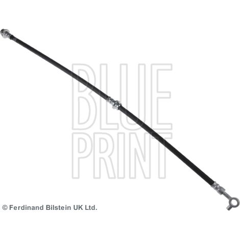 Flexible de frein Blue Print ADN153175 NISSAN 46210JG01B
