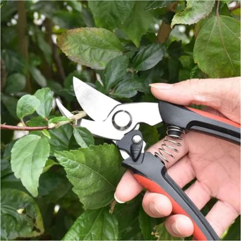 2 Stück Gartenscheren, arbeitssparende Scheren zum Beschneiden dicker Obstbaumäste, Gartengeräte (1/5)